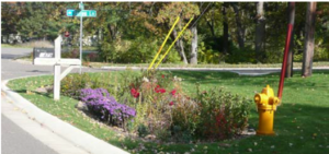 This image shows rain garden used to infiltrate street runoff