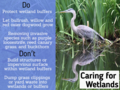 Care for wetlands.png