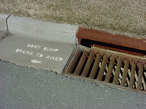 photo of storm sewer stenciling