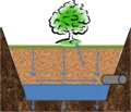 Tree trench schematic.png