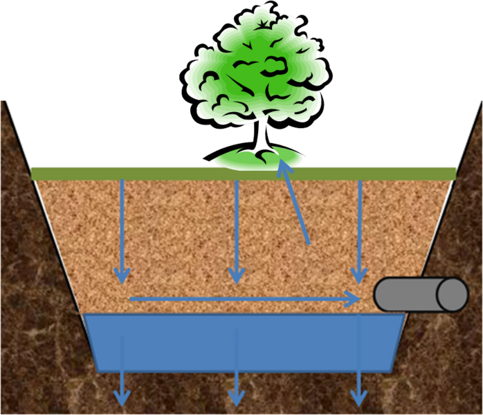 File:Tree trench schematic.png
