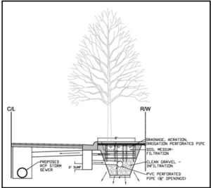 This image shows a typical cross-section of a tree box filter adjacent to a parking lot or roadway