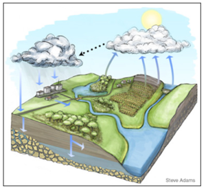 This graph illustrates the water cycle