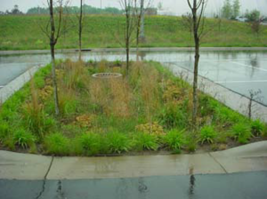 photo showing use of island rain garden in a parking lot