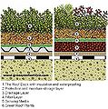 Typical green roof sections 2.jpg