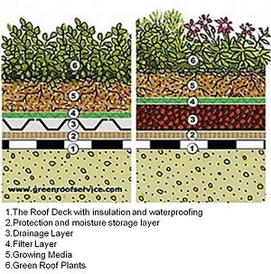schematic showing sections comprising a typical green roof