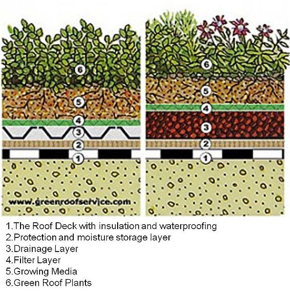 File:Typical green roof sections 2.jpg