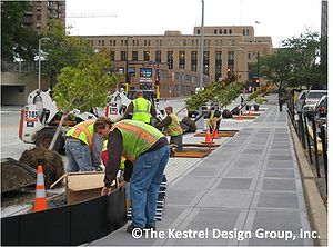 photo of tree planting, Marquette Avenue, Minneapolis