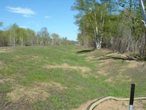 photo showing a highway swale