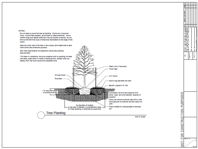 File:Tree planting detail.png