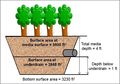 Tree trench with drain schematic for example.jpg