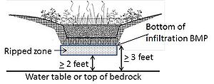 schematic illustrating separation distance from bottom of infiltration BMP and soil ripped zones to water table or top of bedrock