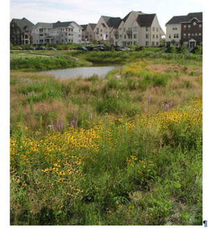 This is a photo showing a Stormwater Pond in Heritage Park