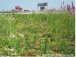 image of target center green roof, Minneapolis, MN
