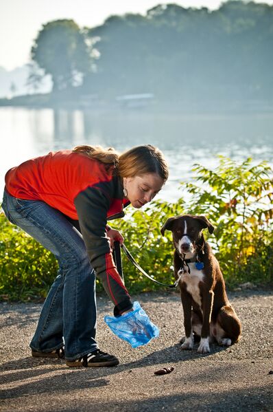 File:Pet waste pickup by the lake.jpg