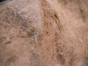 image of coir fiber