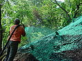 Erosion hydraulic mulch spraying.jpg