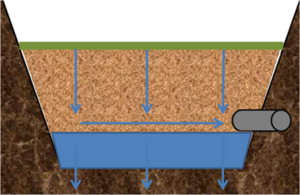 schematic for infiltration from biofiltration with an underdrain