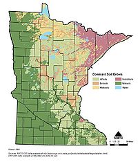 map showing dominant soil order of Minnesota