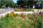 This is a picture of Bioretention facility in St Paul MN