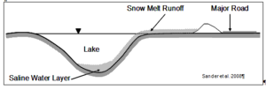 This graph illustrates theSaline water intrusion into a lake