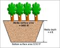 Tree trench no drain schematic for example.jpg