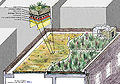 Green roof schematic.jpg