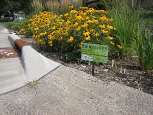 Residential raingarden with education signage