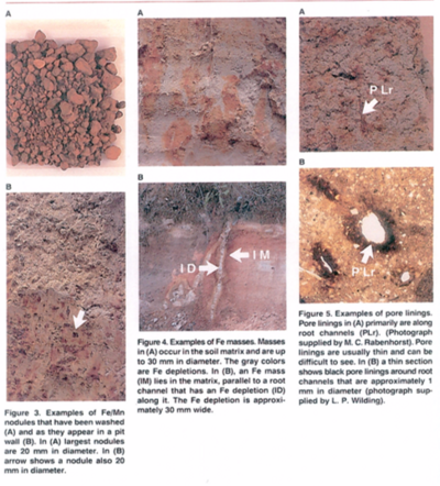 image of different soil redox features