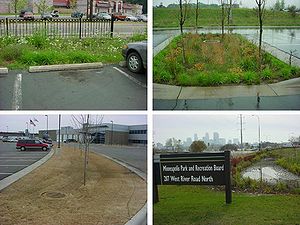 Photo showing some low impact parking lot BMPs that can minimize the impact of impervious surface runoff through filtration and infiltration