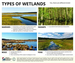 image of different wetland types