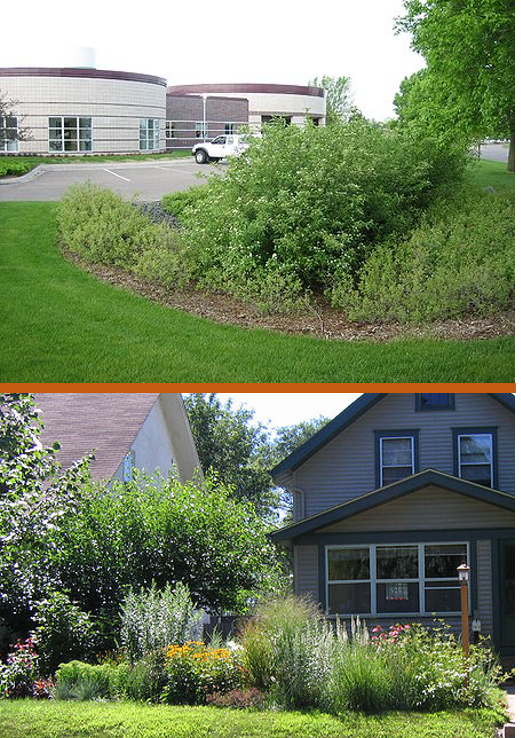 image of bioretention systems