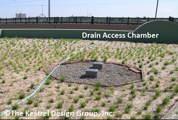 image of drain access chambers at the Phillips Eco-Enterprise Green Roof, Minneapolis, MN