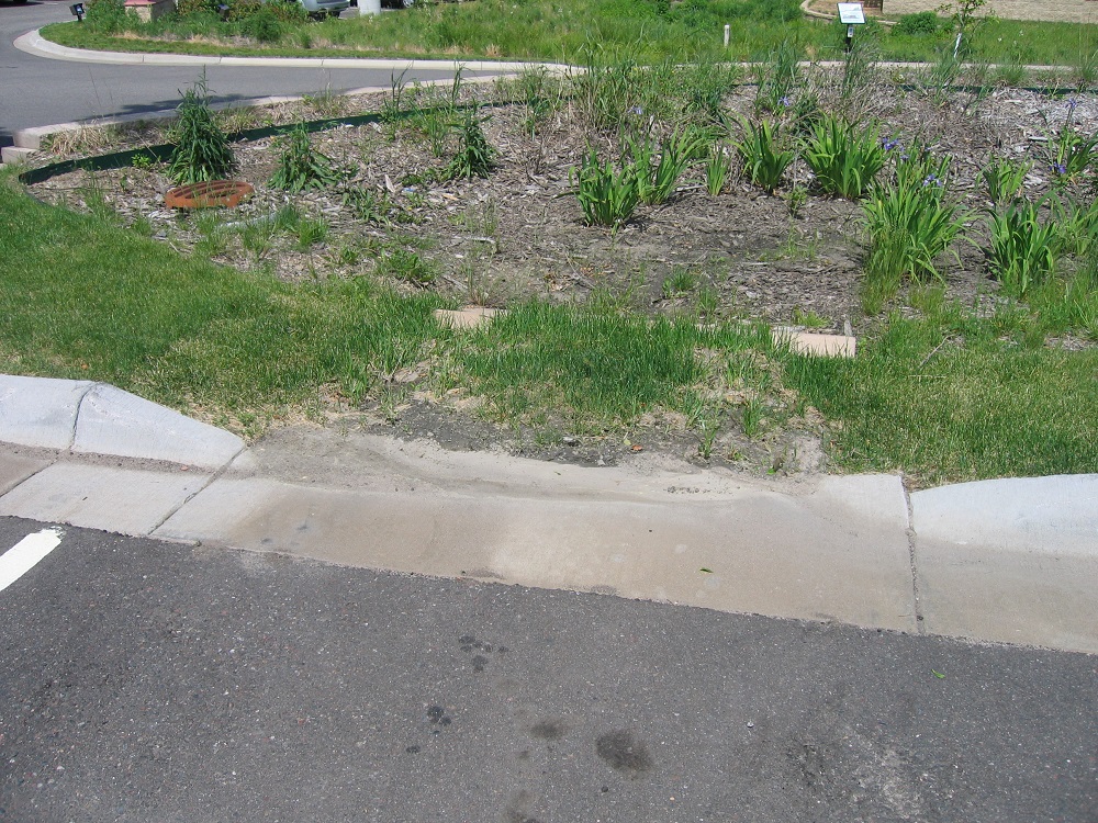 Image of a vegetated filter strip