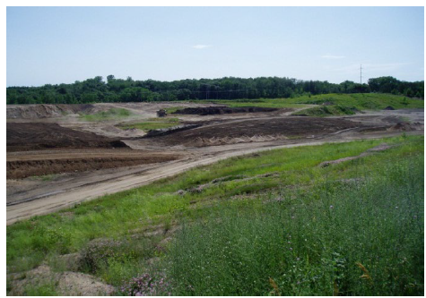 This photo shows Leave as much vegetation on a site as possible to reduce the overall disturbed area