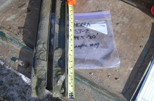 image of soil sample