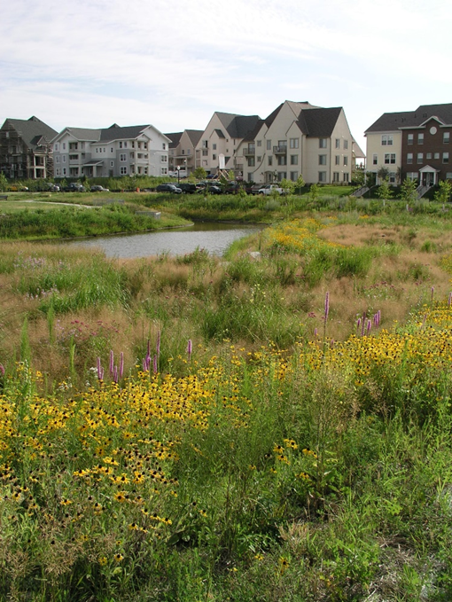 This is a photo showing a Stormwater Pond in Heritage Park