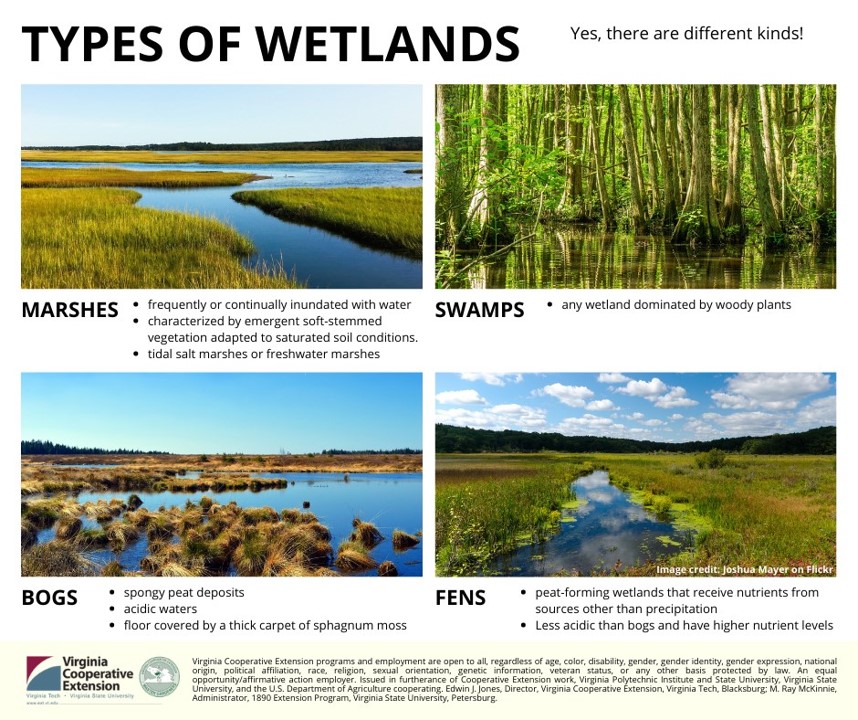 image of different wetland types