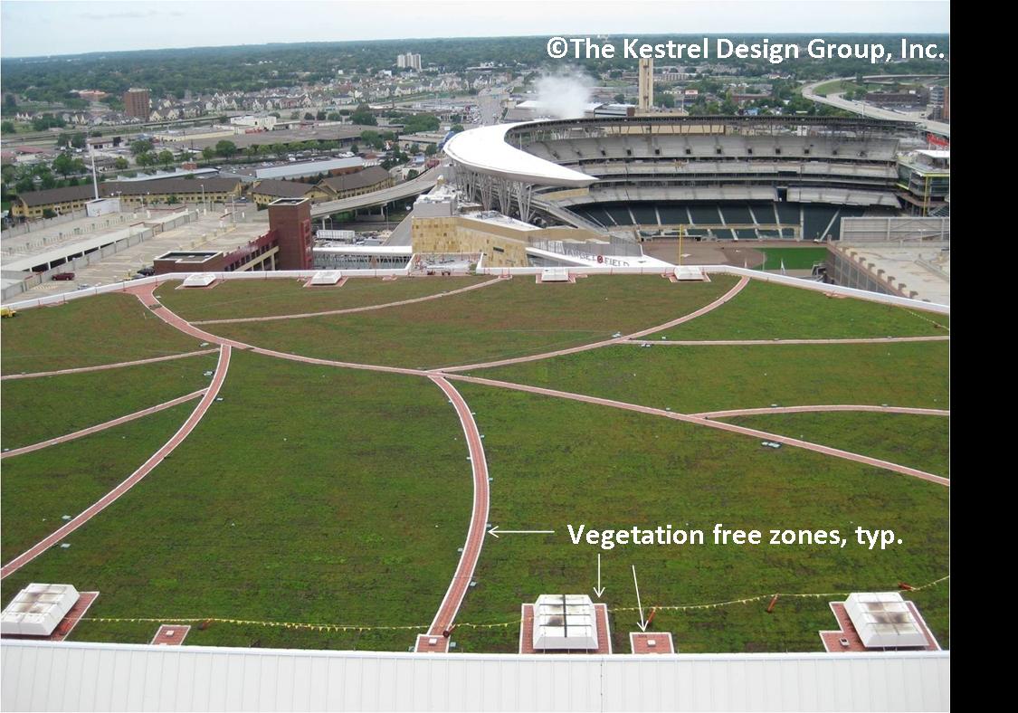 photo of green roof on the Target Center in Minneapolis, MN