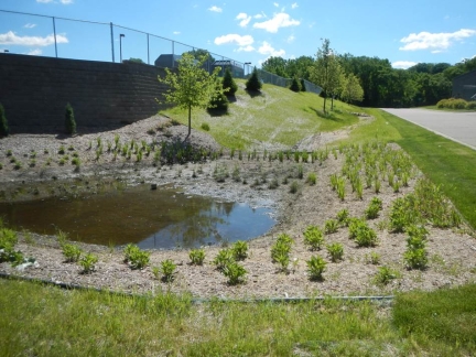 Image of infiltration basin with ponding