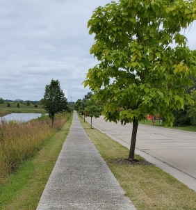 Photo showing walking trail constructed with pervious pavement 
