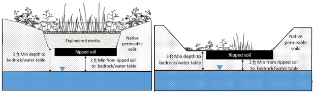 Schematic illustrating separation distance from bottom of infiltration BMP and soil ripped zones to water table/top of bedrock. 