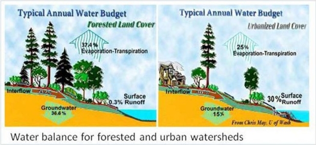 Figure illustrating how the hydrologic cycle and water balance change as a result of urbanization. 